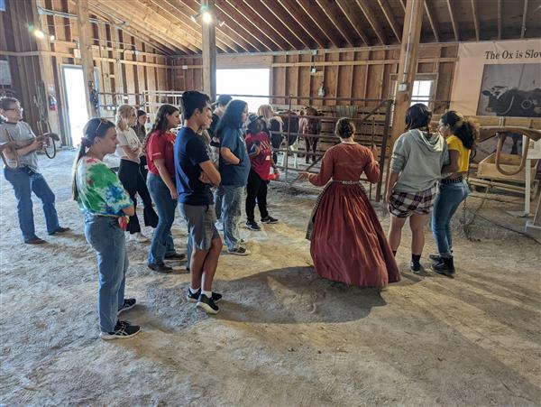 Animal Science students learn about oxen